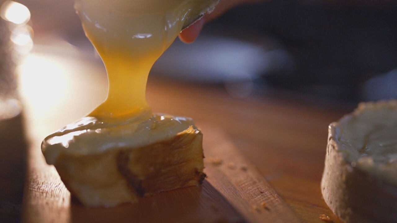 Queijo catarinense é reconhecido entre os melhores do mundo